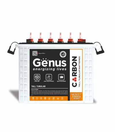 Carbon 230AH 12V Inverter Battery